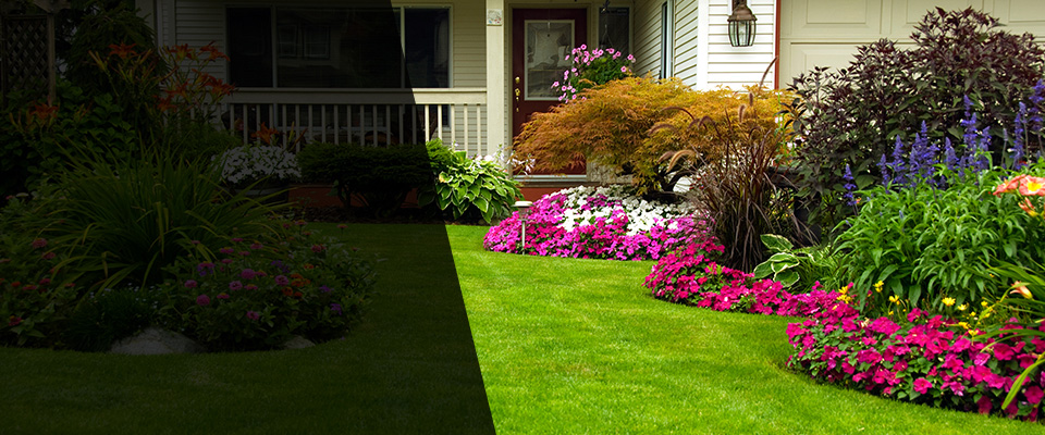 Mount Rainier Landscapers